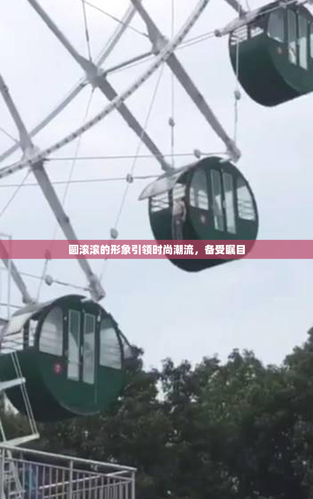 圆滚滚的形象引领时尚潮流，备受瞩目