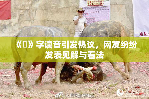《屍》字读音引发热议，网友纷纷发表见解与看法