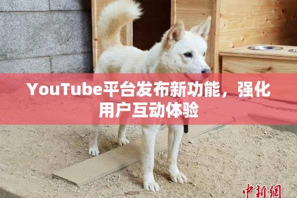 YouTube平台发布新功能，强化用户互动体验