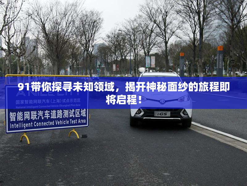 91带你探寻未知领域，揭开神秘面纱的旅程即将启程！