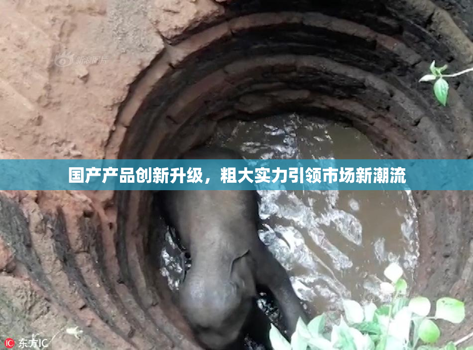 国产产品创新升级，粗大实力引领市场新潮流