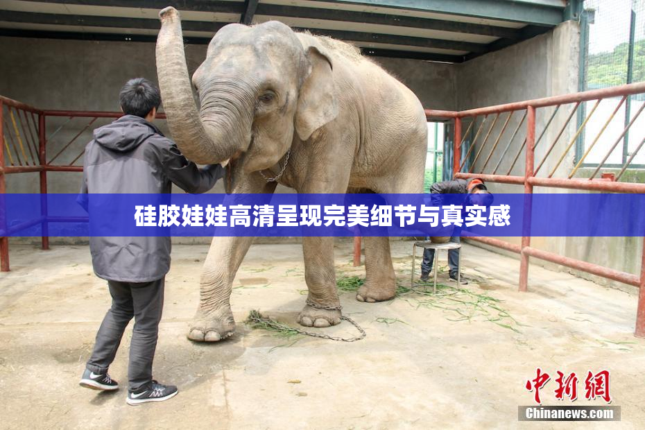 硅胶娃娃高清呈现完美细节与真实感