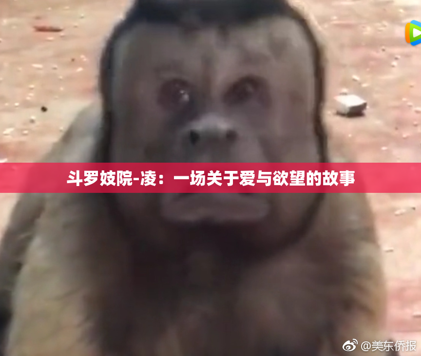 斗罗妓院-凌：一场关于爱与欲望的故事