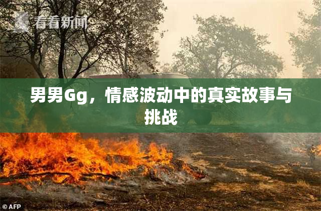 男男Gg，情感波动中的真实故事与挑战