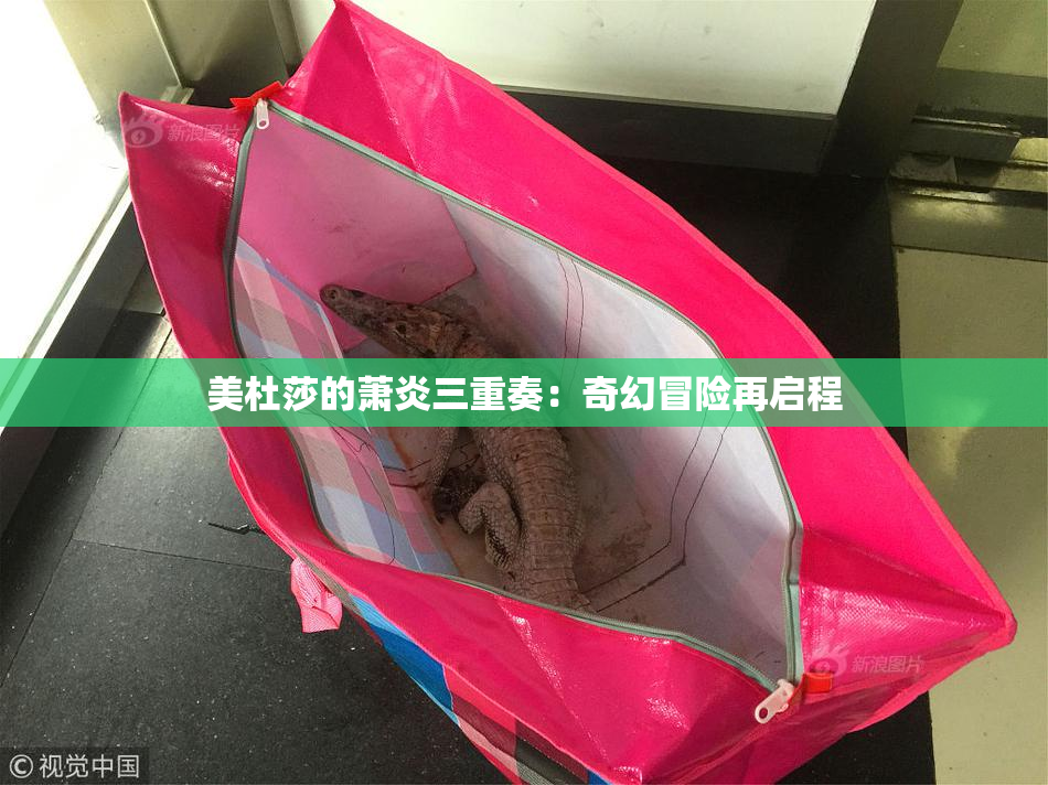 美杜莎的萧炎三重奏：奇幻冒险再启程