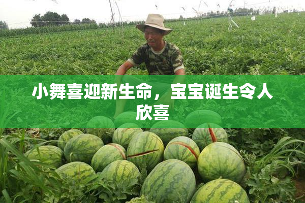 小舞喜迎新生命，宝宝诞生令人欣喜