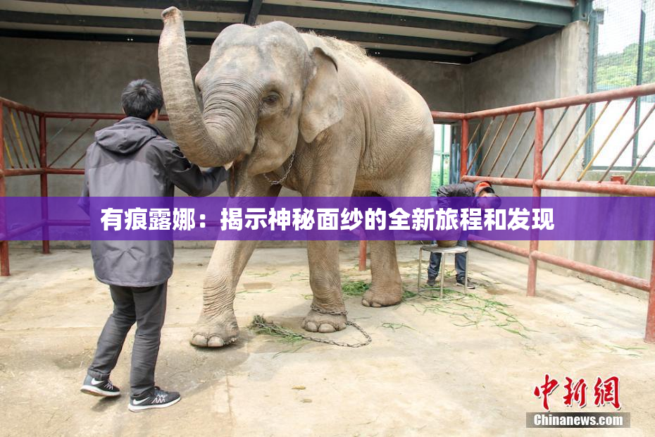 有痕露娜：揭示神秘面纱的全新旅程和发现
