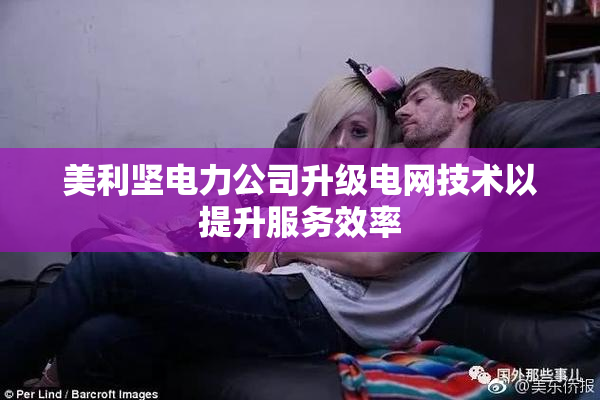 美利坚电力公司升级电网技术以提升服务效率