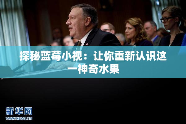 探秘蓝莓小视：让你重新认识这一神奇水果
