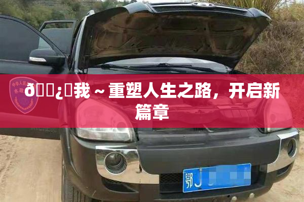 🌿‌我～重塑人生之路，开启新篇章