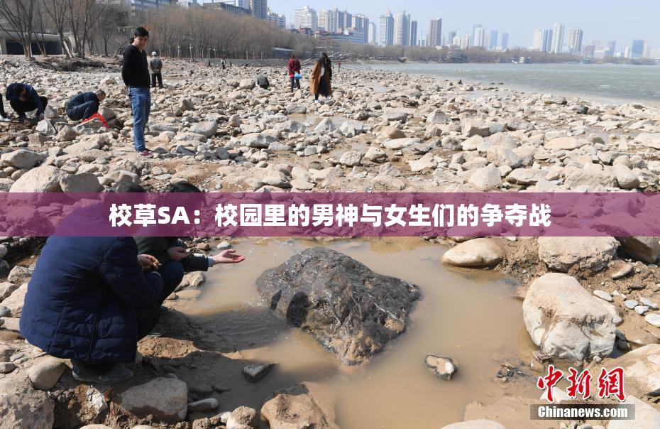 校草SA：校园里的男神与女生们的争夺战
