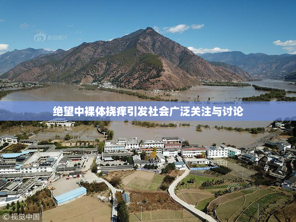 绝望中裸体挠痒引发社会广泛关注与讨论