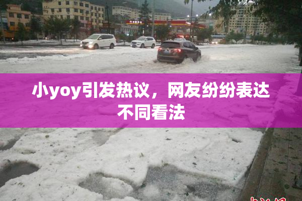小yoy引发热议，网友纷纷表达不同看法