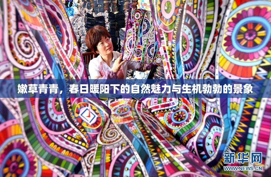 嫩草青青，春日暖阳下的自然魅力与生机勃勃的景象