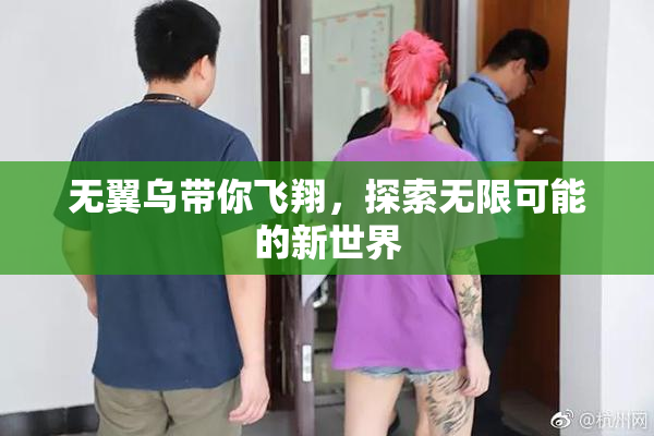 无翼乌带你飞翔，探索无限可能的新世界