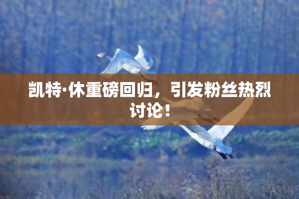 凯特·休重磅回归，引发粉丝热烈讨论！