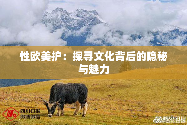 性欧美护：探寻文化背后的隐秘与魅力