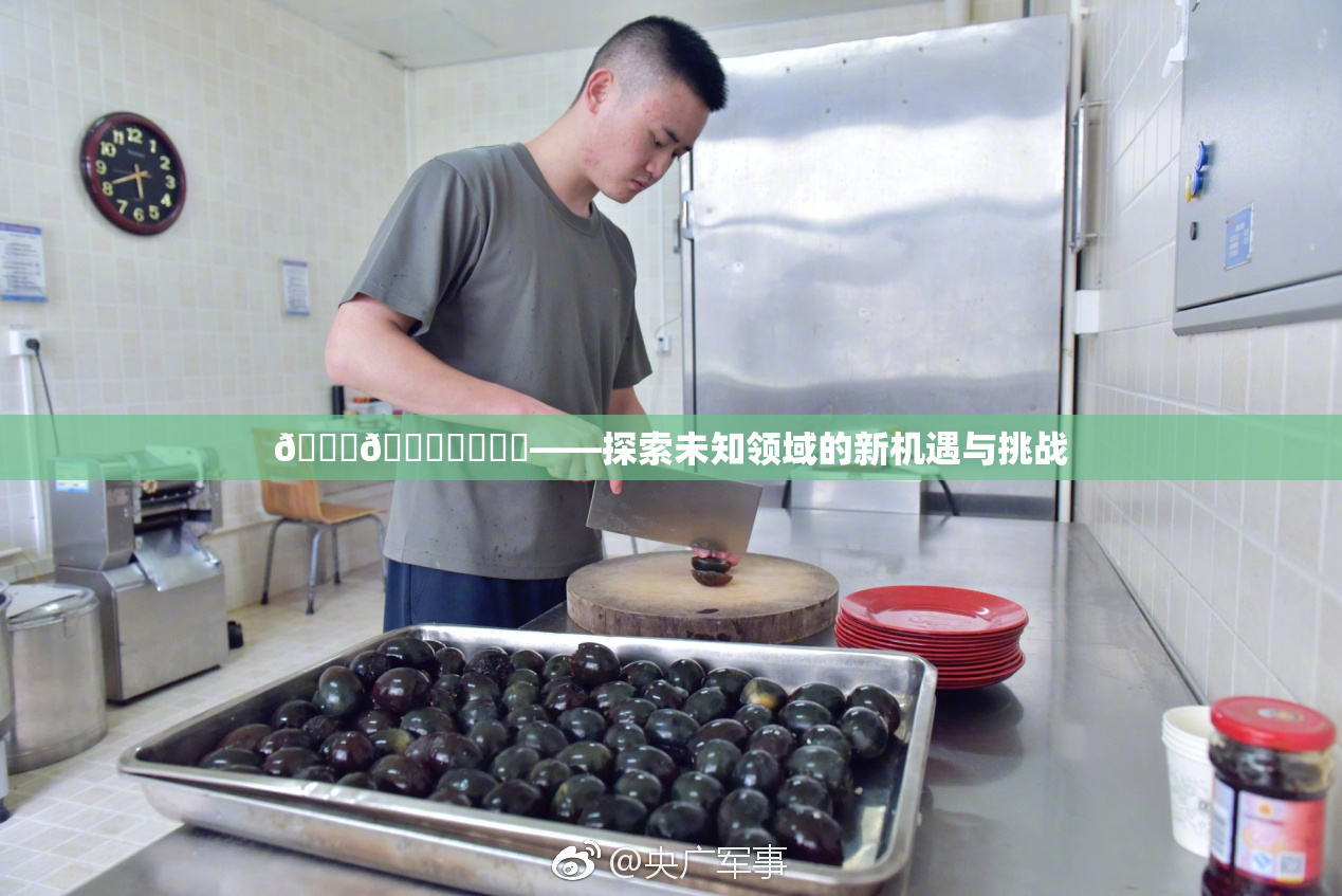 🍆🍑❌‌❌‌——探索未知领域的新机遇与挑战
