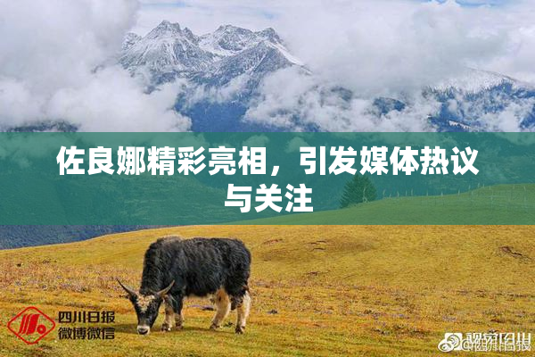 佐良娜精彩亮相，引发媒体热议与关注