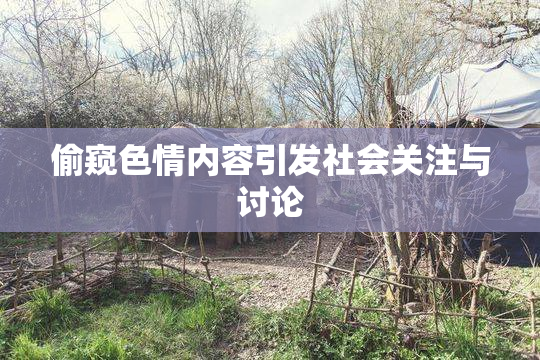 偷窥色情内容引发社会关注与讨论