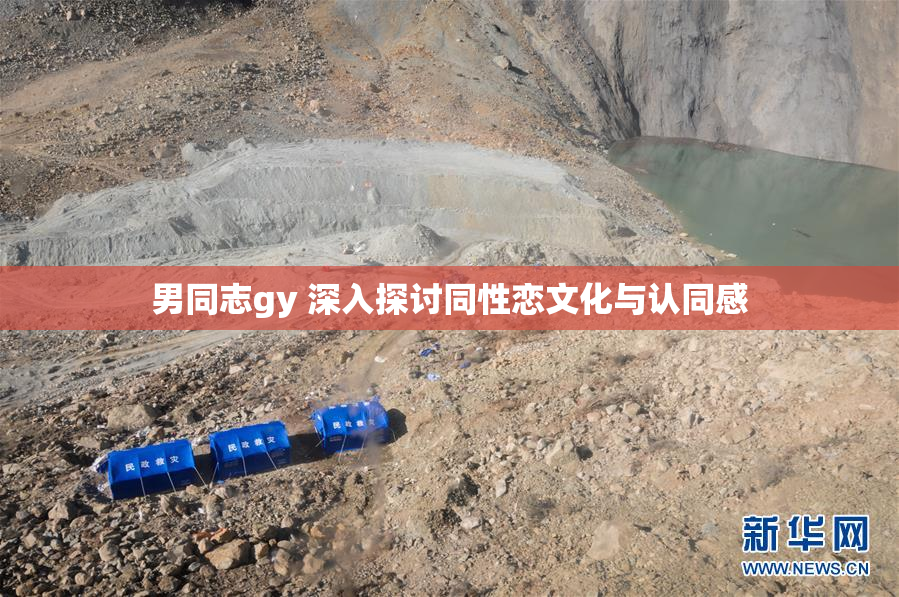 男同志gy 深入探讨同性恋文化与认同感