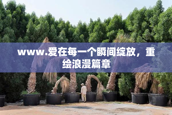 www.爱在每一个瞬间绽放，重绘浪漫篇章