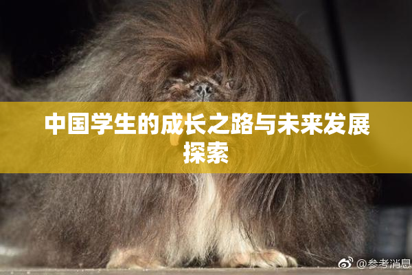 中国学生的成长之路与未来发展探索