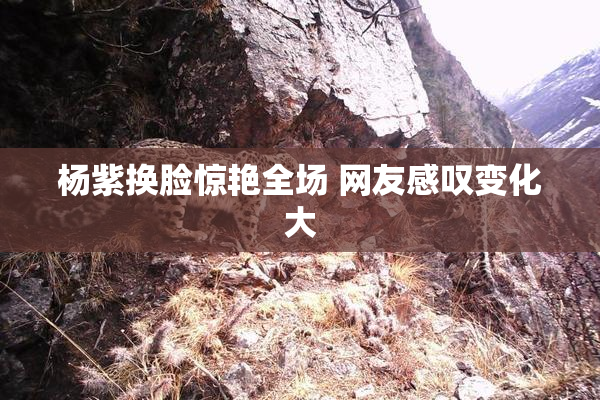 杨紫换脸惊艳全场 网友感叹变化大