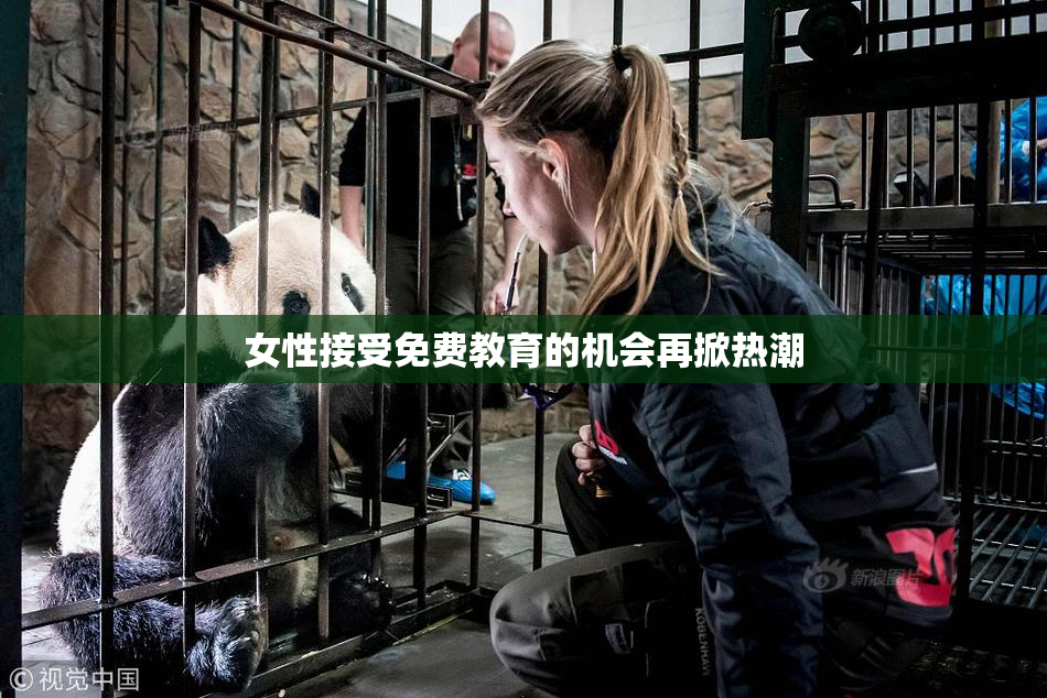 女性接受免费教育的机会再掀热潮