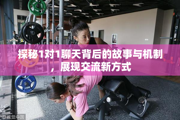 探秘1对1聊天背后的故事与机制，展现交流新方式