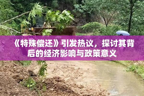 《特殊偿还》引发热议，探讨其背后的经济影响与政策意义