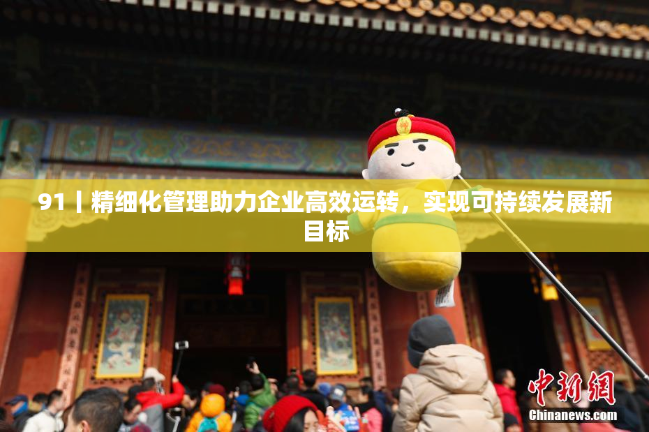 91丨精细化管理助力企业高效运转，实现可持续发展新目标