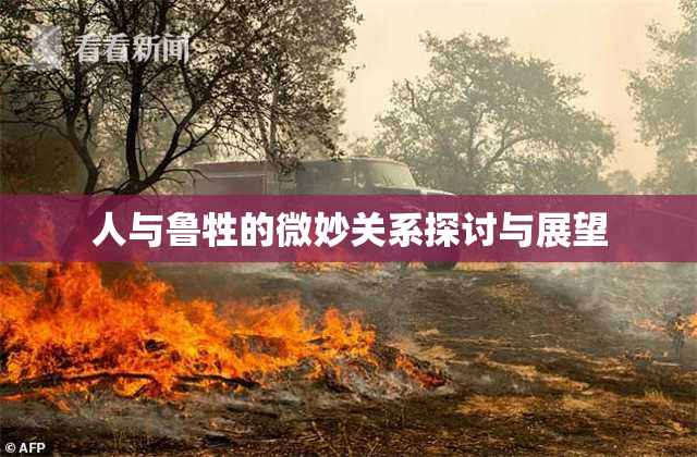人与鲁牲的微妙关系探讨与展望