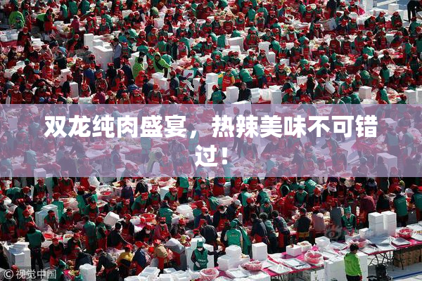 双龙纯肉盛宴，热辣美味不可错过！