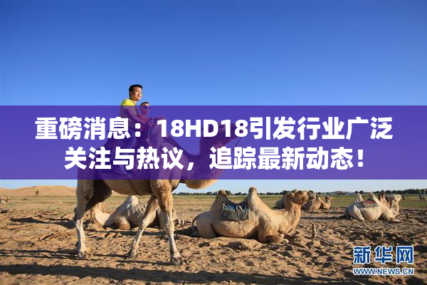 重磅消息：18HD18引发行业广泛关注与热议，追踪最新动态！