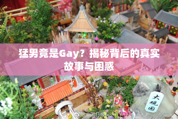 猛男竟是Gay？揭秘背后的真实故事与困惑