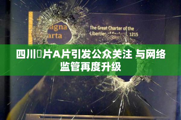 四川婬片A片引发公众关注 与网络监管再度升级