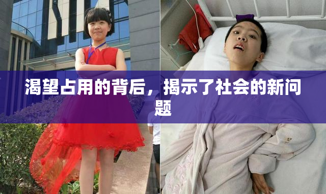 渴望占用的背后，揭示了社会的新问题