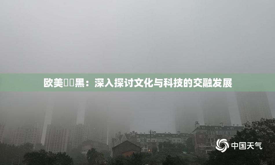 欧美❌‌黑：深入探讨文化与科技的交融发展