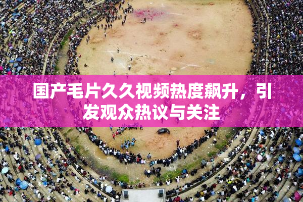 国产毛片久久视频热度飙升，引发观众热议与关注