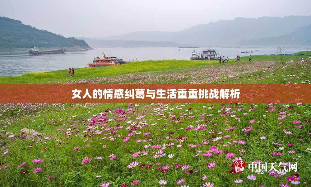 女人的情感纠葛与生活重重挑战解析