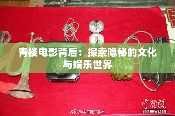 青楼电影背后：探索隐秘的文化与娱乐世界