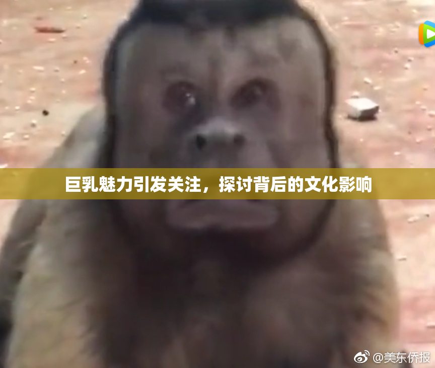 巨乳魅力引发关注，探讨背后的文化影响
