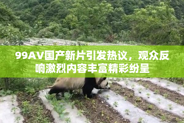 99AV国产新片引发热议，观众反响激烈内容丰富精彩纷呈