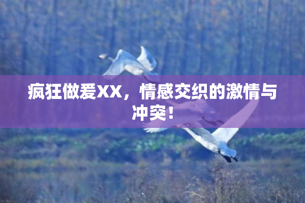 疯狂做爰XX，情感交织的激情与冲突！