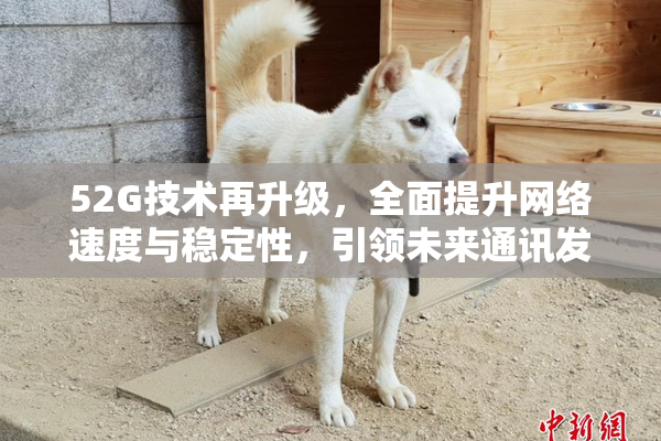 52G技术再升级，全面提升网络速度与稳定性，引领未来通讯发展新潮流