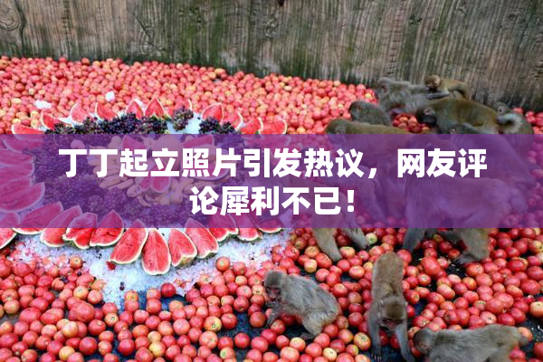 丁丁起立照片引发热议，网友评论犀利不已！