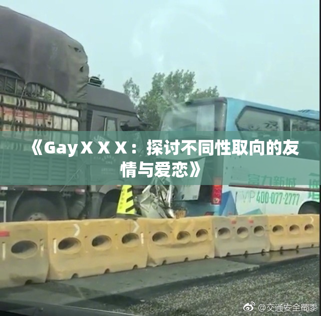 《GayⅩⅩⅩ：探讨不同性取向的友情与爱恋》