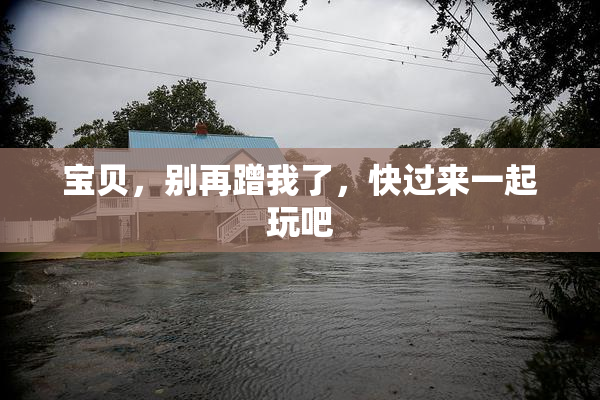 宝贝，别再蹭我了，快过来一起玩吧
