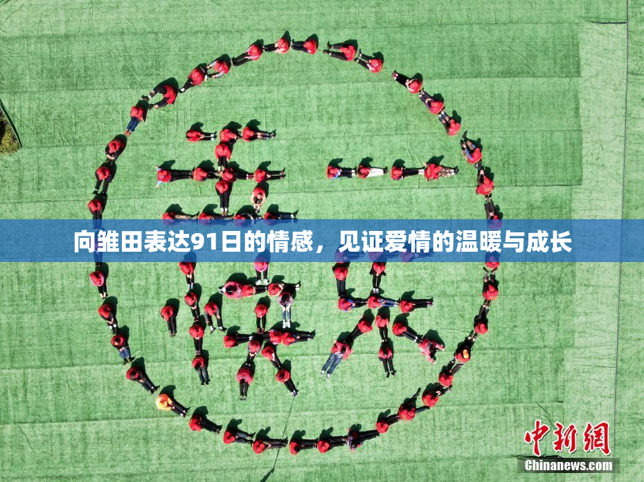 向雏田表达91日的情感，见证爱情的温暖与成长